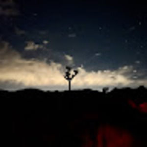 Meet your Posher, Penny